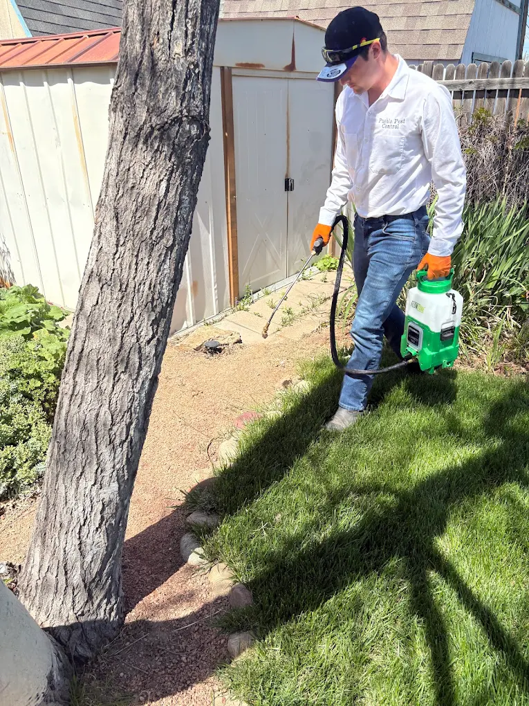 Pueblo Pest Control technician applying perimeter pest treatment at a residential property
